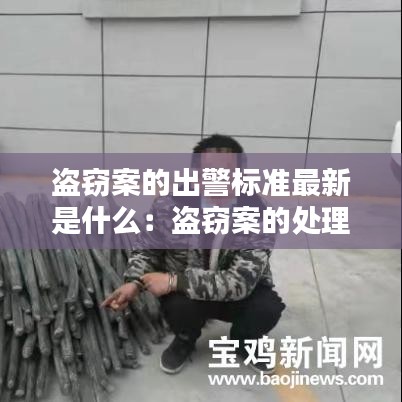 盗窃案的出警标准最新是什么：盗窃案的处理程序是什么 