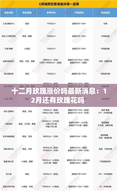 十二月玫瑰涨价吗最新消息：12月还有玫瑰花吗 