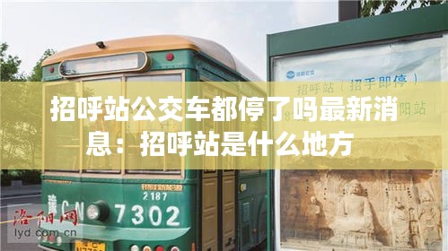 招呼站公交车都停了吗最新消息：招呼站是什么地方 