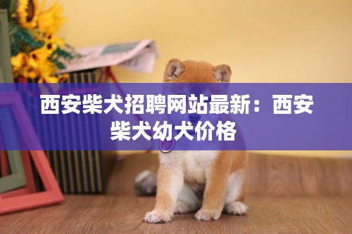 西安柴犬招聘网站最新：西安柴犬幼犬价格 