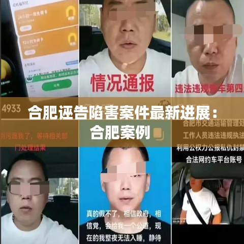 合肥诬告陷害案件最新进展：合肥案例 