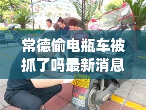 常德偷电瓶车被抓了吗最新消息：常德电动车罚款手机上怎么交罚款 