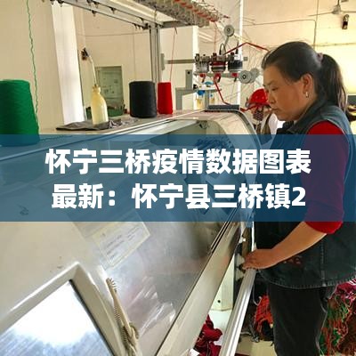 怀宁三桥疫情数据图表最新：怀宁县三桥镇2021年重点项目 