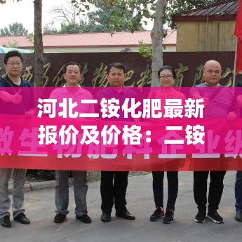 河北二铵化肥最新报价及价格：二铵批发价 