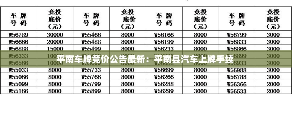 平南车牌竞价公告最新：平南县汽车上牌手续 
