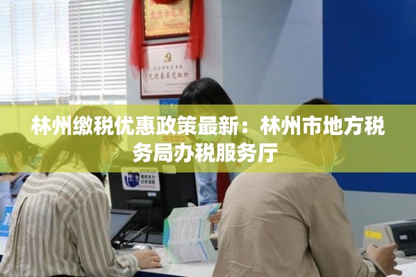 林州缴税优惠政策最新：林州市地方税务局办税服务厅 
