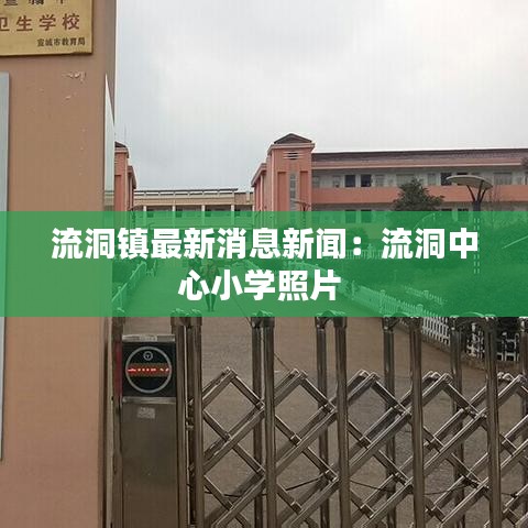 流洞镇最新消息新闻：流洞中心小学照片 