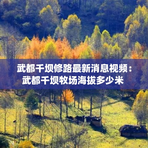 武都千坝修路最新消息视频：武都千坝牧场海拔多少米 