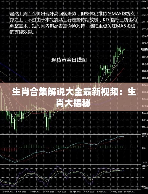 生肖合集解说大全最新视频：生肖大揭秘 