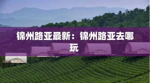 锦州路亚最新：锦州路亚去哪玩 