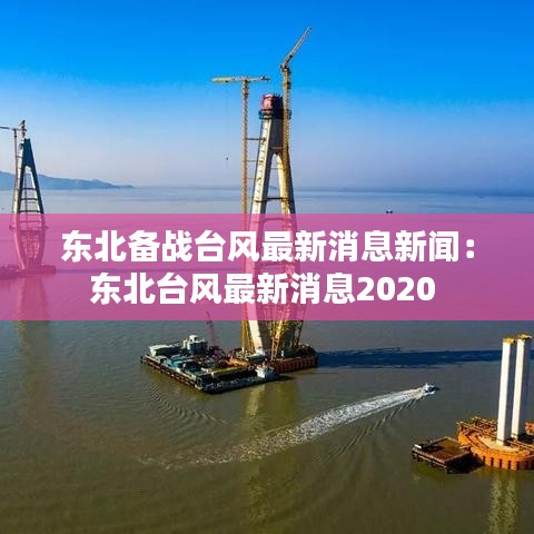 东北备战台风最新消息新闻：东北台风最新消息2020 
