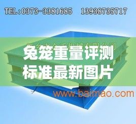 兔笼重量评测标准最新图片：兔笼尺寸及制作技术 
