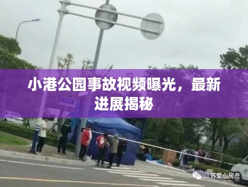 小港公园事故视频曝光，最新进展揭秘