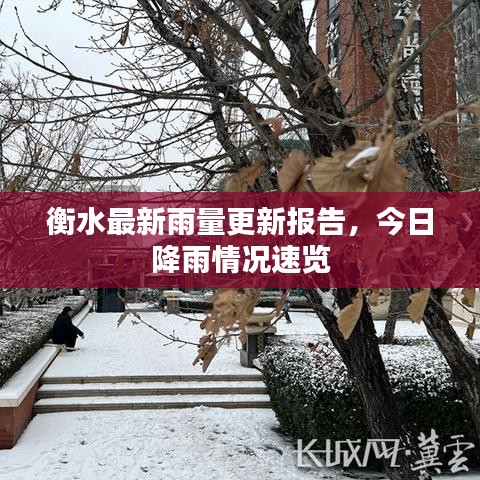 衡水最新雨量更新报告，今日降雨情况速览
