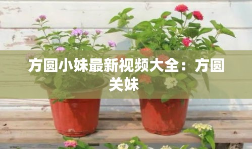 方圆小妹最新视频大全：方圆关妹 