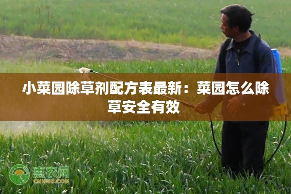 小菜园除草剂配方表最新：菜园怎么除草安全有效 