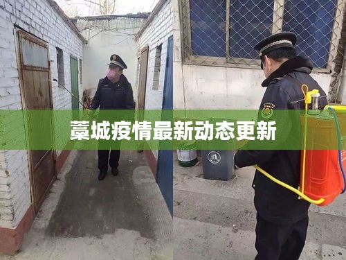 藁城疫情最新动态更新
