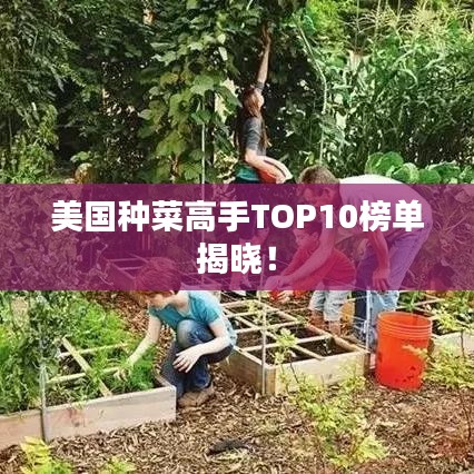 美国种菜高手TOP10榜单揭晓！