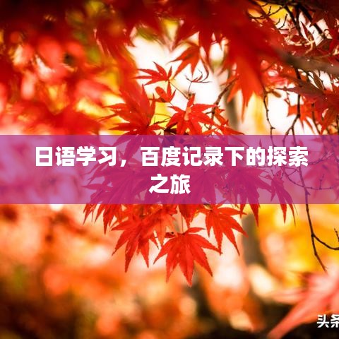 日语学习，百度记录下的探索之旅
