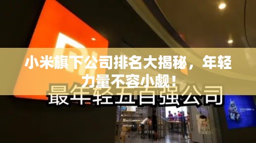 小米旗下公司排名大揭秘，年轻力量不容小觑！