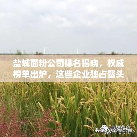 盐城面粉公司排名揭晓，权威榜单出炉，这些企业独占鳌头！