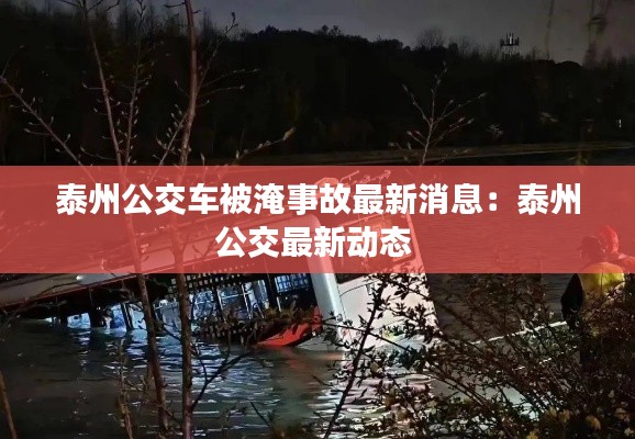 泰州公交车被淹事故最新消息：泰州公交最新动态 
