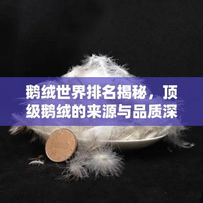 鹅绒世界排名揭秘，顶级鹅绒的来源与品质深度探究