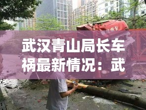 武汉青山局长车祸最新情况：武汉青山领导班子 