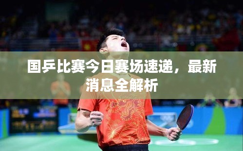 国乒比赛今日赛场速递，最新消息全解析