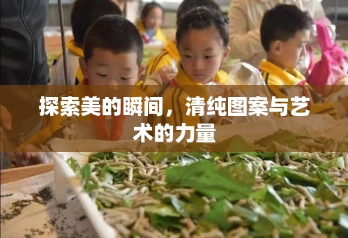 探索美的瞬间，清纯图案与艺术的力量