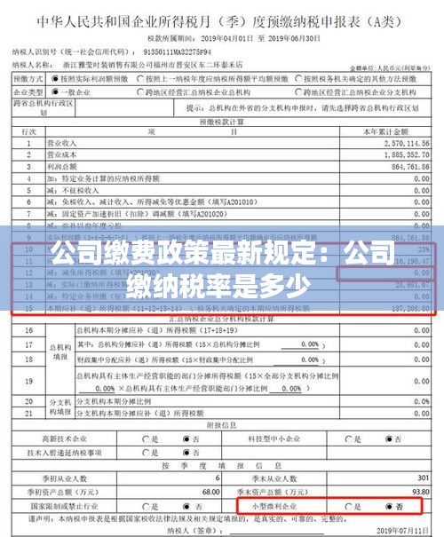 公司缴费政策最新规定：公司缴纳税率是多少 
