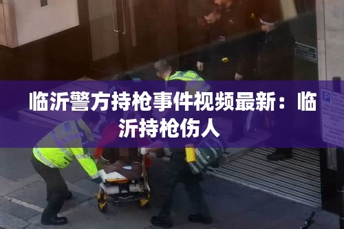 临沂警方持枪事件视频最新：临沂持枪伤人 