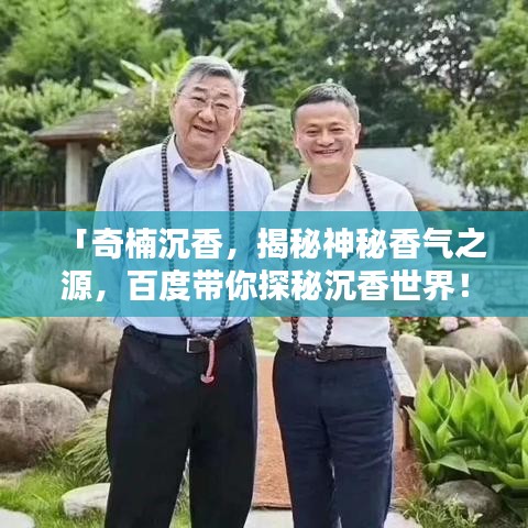 「奇楠沉香，揭秘神秘香气之源，百度带你探秘沉香世界！」