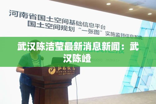 武汉陈洁莹最新消息新闻：武汉陈嶝 