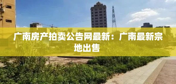 广南房产拍卖公告网最新：广南最新宗地出售 