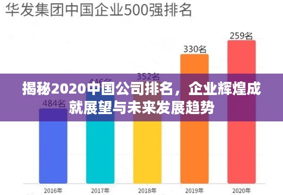 揭秘2020中国公司排名，企业辉煌成就展望与未来发展趋势