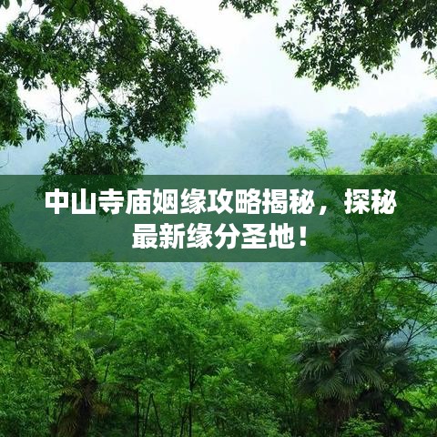 中山寺庙姻缘攻略揭秘，探秘最新缘分圣地！
