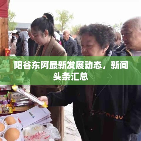 阳谷东阿最新发展动态，新闻头条汇总