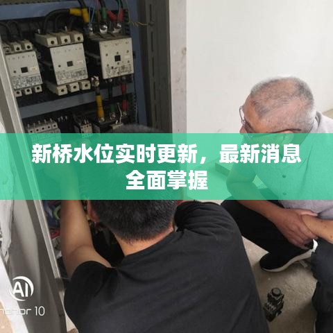 新桥水位实时更新，最新消息全面掌握