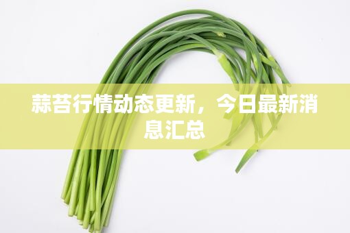 蒜苔行情动态更新，今日最新消息汇总