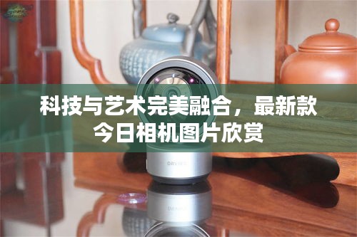 德才兼备 第3页