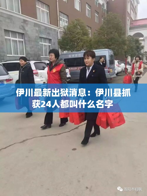 伊川最新出狱消息：伊川县抓获24人都叫什么名字 