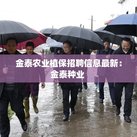 金泰农业植保招聘信息最新：金泰种业 