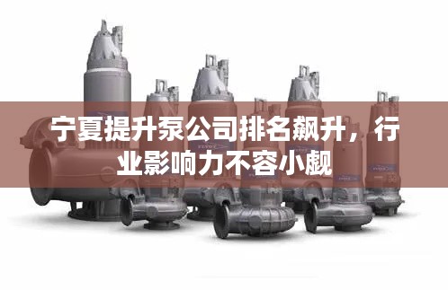 宁夏提升泵公司排名飙升，行业影响力不容小觑
