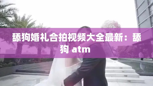 舔狗婚礼合拍视频大全最新：舔狗 atm 