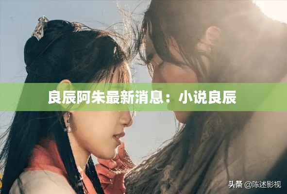 良辰阿朱最新消息：小说良辰 