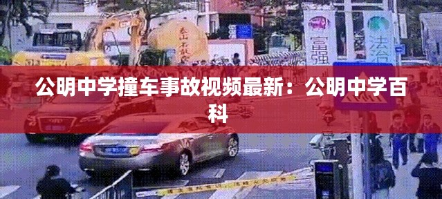 公明中学撞车事故视频最新：公明中学百科 