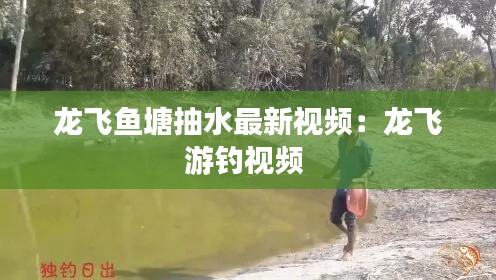 龙飞鱼塘抽水最新视频：龙飞游钓视频 