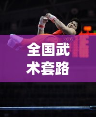 全国武术套路前十名巅峰对决，谁将独占鳌头？