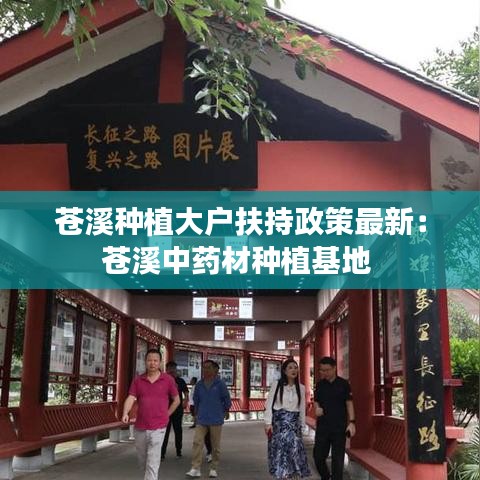 苍溪种植大户扶持政策最新：苍溪中药材种植基地 